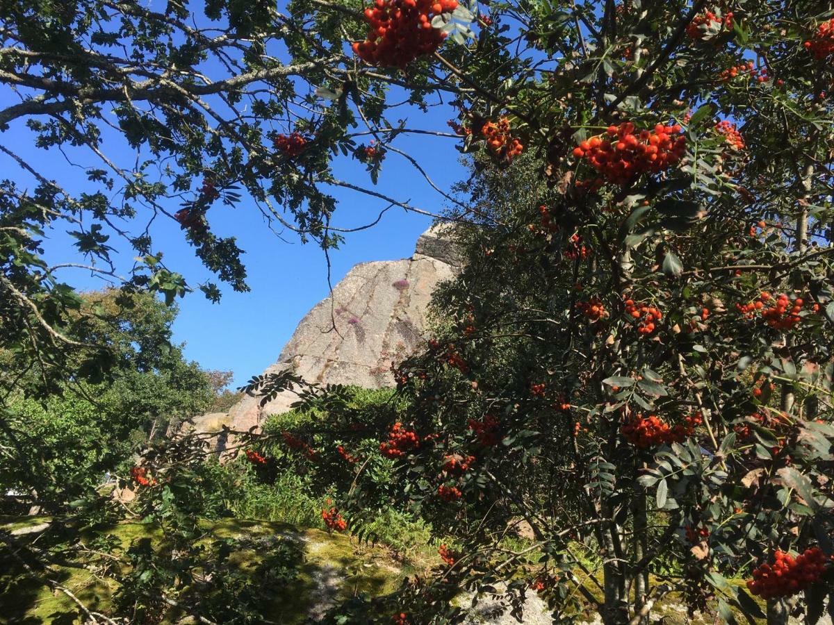 Stuga I Naturskoent Omrade Pa Vaestra Tjoern Saby Εξωτερικό φωτογραφία